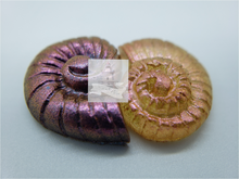 Load image into Gallery viewer, Octopus
